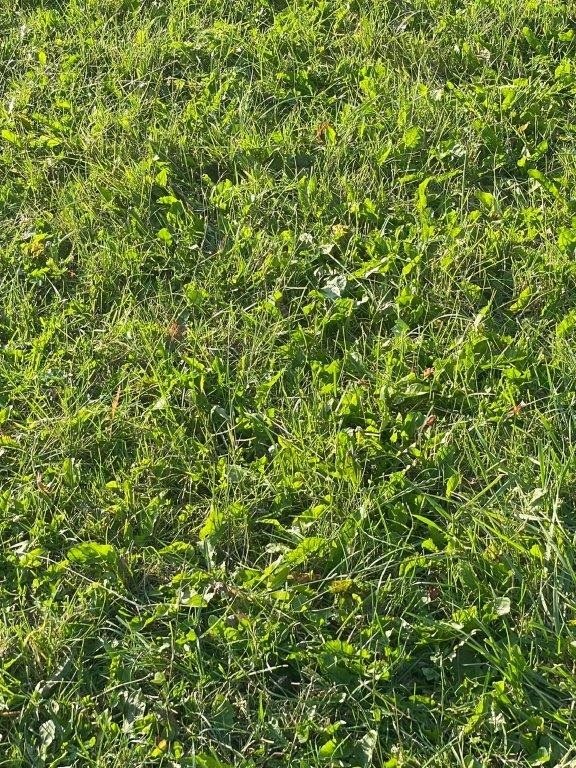 Łazy, 79 000 zł, 5 ar, budowlana miniaturka 1