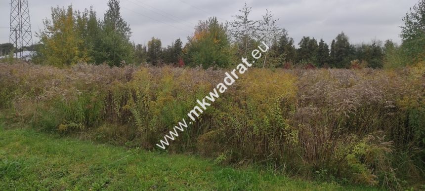Działka 2435 m Błonie - spokojna i miła okolica miniaturka 2