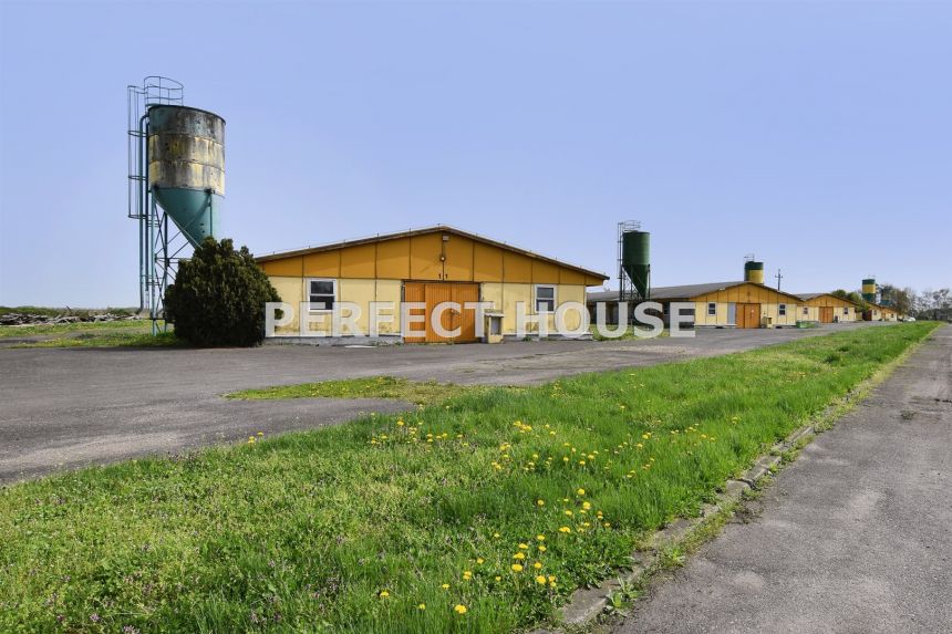 Grunt budowlany pod obsługę produkcji rolnej miniaturka 47