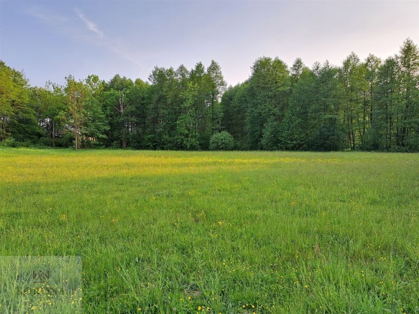 Działka nad  jeziorem Dreństwo miniaturka 13