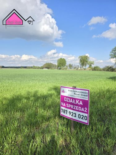 Skrzynka, 83 000 zł, 9.98 ar, rekreacyjna