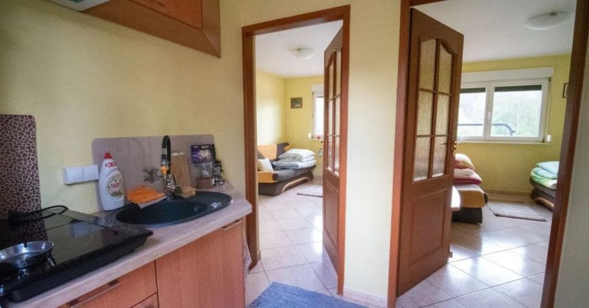 Dom z sauną, łowisko, 6 stawów rybnych miniaturka 17