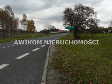 Lisowola, 583 400 zł, 5.83 ha, rolna