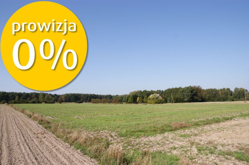 Duża działka nad jeziorem Krasne pod inwestycję miniaturka 12