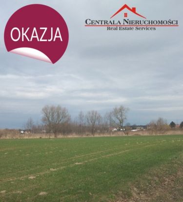 Działka przy lesie Obrowo