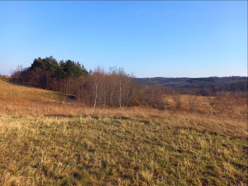 Świebodzice, 198 000 zł, 22.52 ar, budowlana miniaturka 13