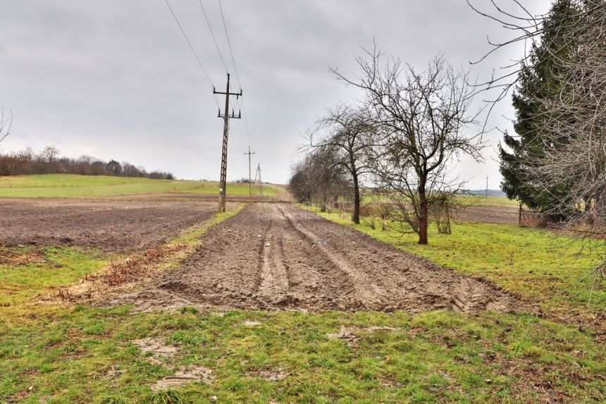 Działka na sprzedaż w Siedliszczu 2310m2 miniaturka 3