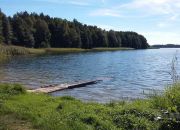 Działka pod lasem w pobliżu jeziora miniaturka 12