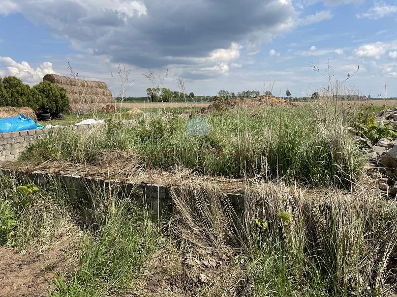 Działka budowlana z warunkami zabudowy Sokołowo k/Witkowa miniaturka 9