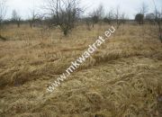 Puszcza Mariańska, 207 000 zł, 50 ar, prostokątna miniaturka 1