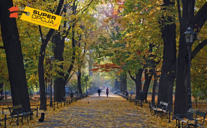 Kraków Stare Miasto, 24 000 zł, 220 m2, 3 pokoje miniaturka 4