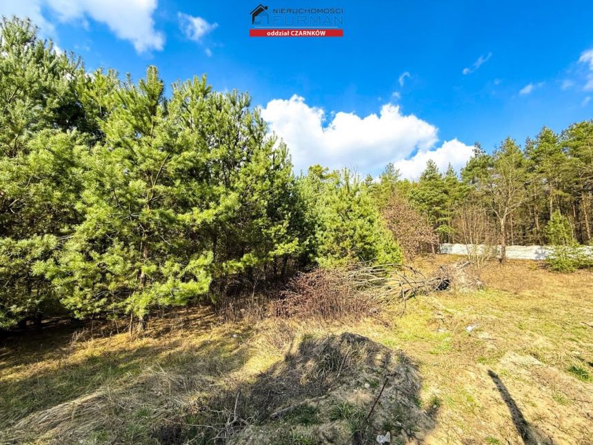 Biała, 599 000 zł, 80 m2, jednorodzinny miniaturka 12