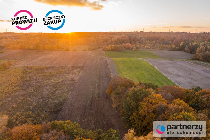 Buszkowy, 130 000 zł, 58 ar, rolna miniaturka 2