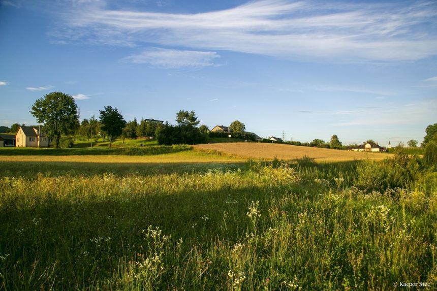 Działka budowlana- Siemiechów- Małopolska miniaturka 6
