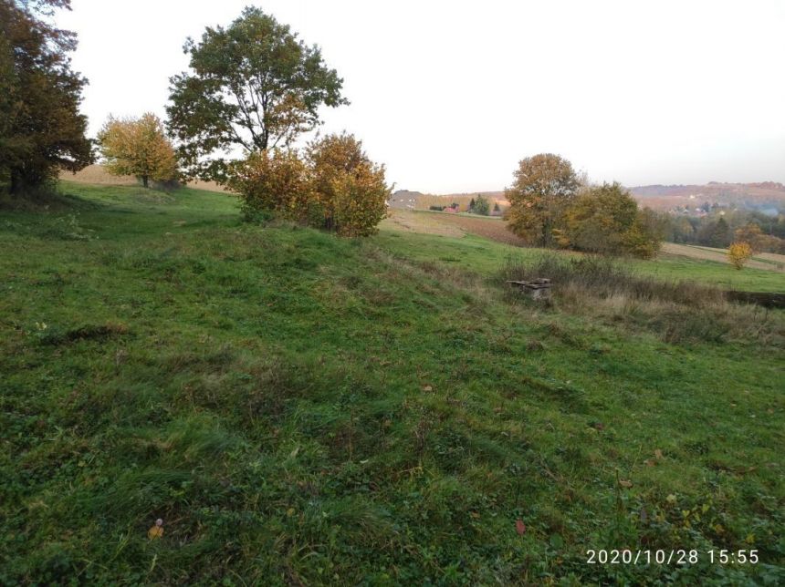 Siedliska, 125 000 zł, 1.13 ha, budowlana miniaturka 10