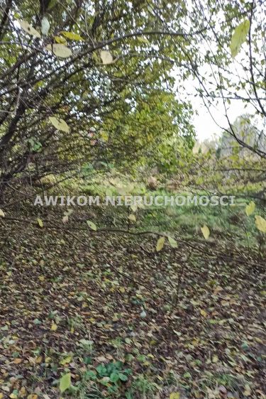 Budy-Grzybek, 278 000 zł, 9.59 ar, budowlana