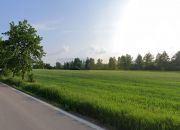DZIAŁKI BUDOWLANE W JESIONCE (GMINA CZOSNÓW) miniaturka 1