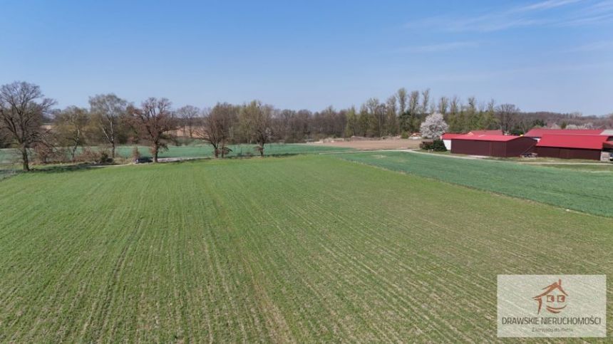Łosośnica, 310 000 zł, 7.72 ha, rolna - zdjęcie 1