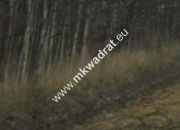 Pęcice działka w atrakcyjnym miejscu 10.500 m2 miniaturka 5