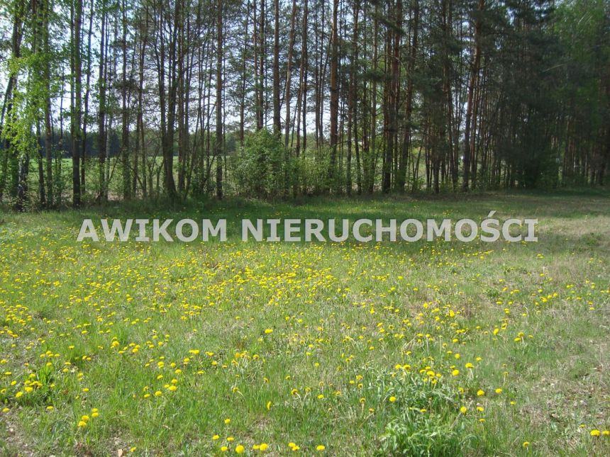 Zaręby, 1 357 000 zł, 1.18 ha, budowlana - zdjęcie 1