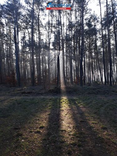 działka na sprzedaż w Białej gmina Wieleń