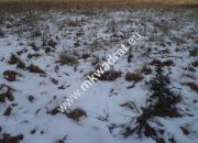 Wymysłów, 466 000 zł, 3.01 ha, płaska miniaturka 1