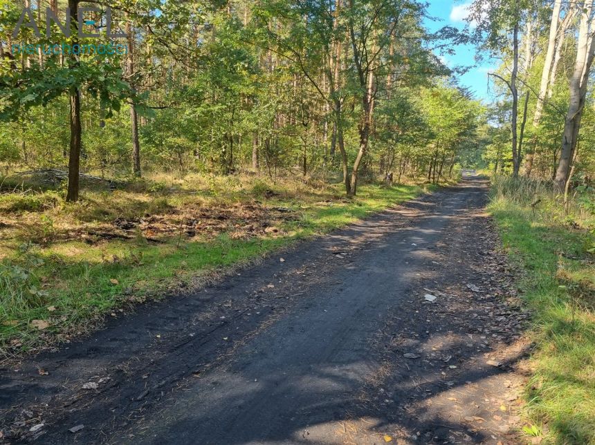 Działka w lesie- Ruda Śląska- Halemba/Stara Kuźnia miniaturka 4