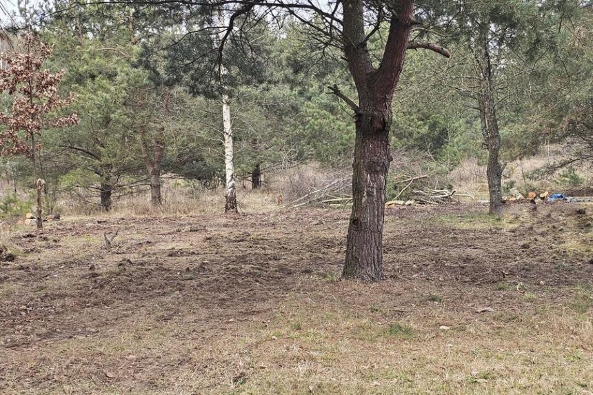 Działka pod zabudowę letniskową - Ruś gm. Morąg miniaturka 8