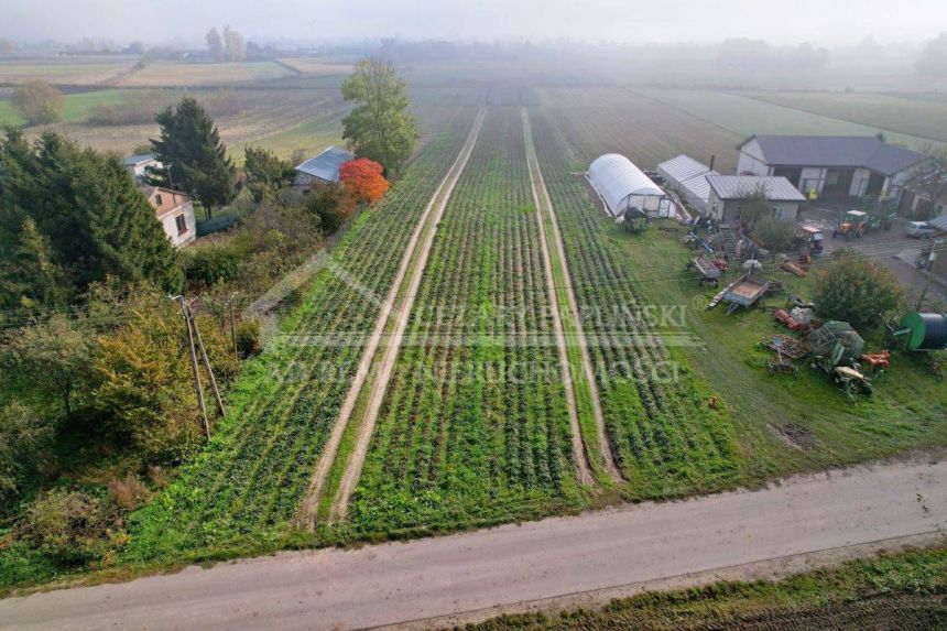 Zezulin, 1 ha, budowlano - rolna miniaturka 5