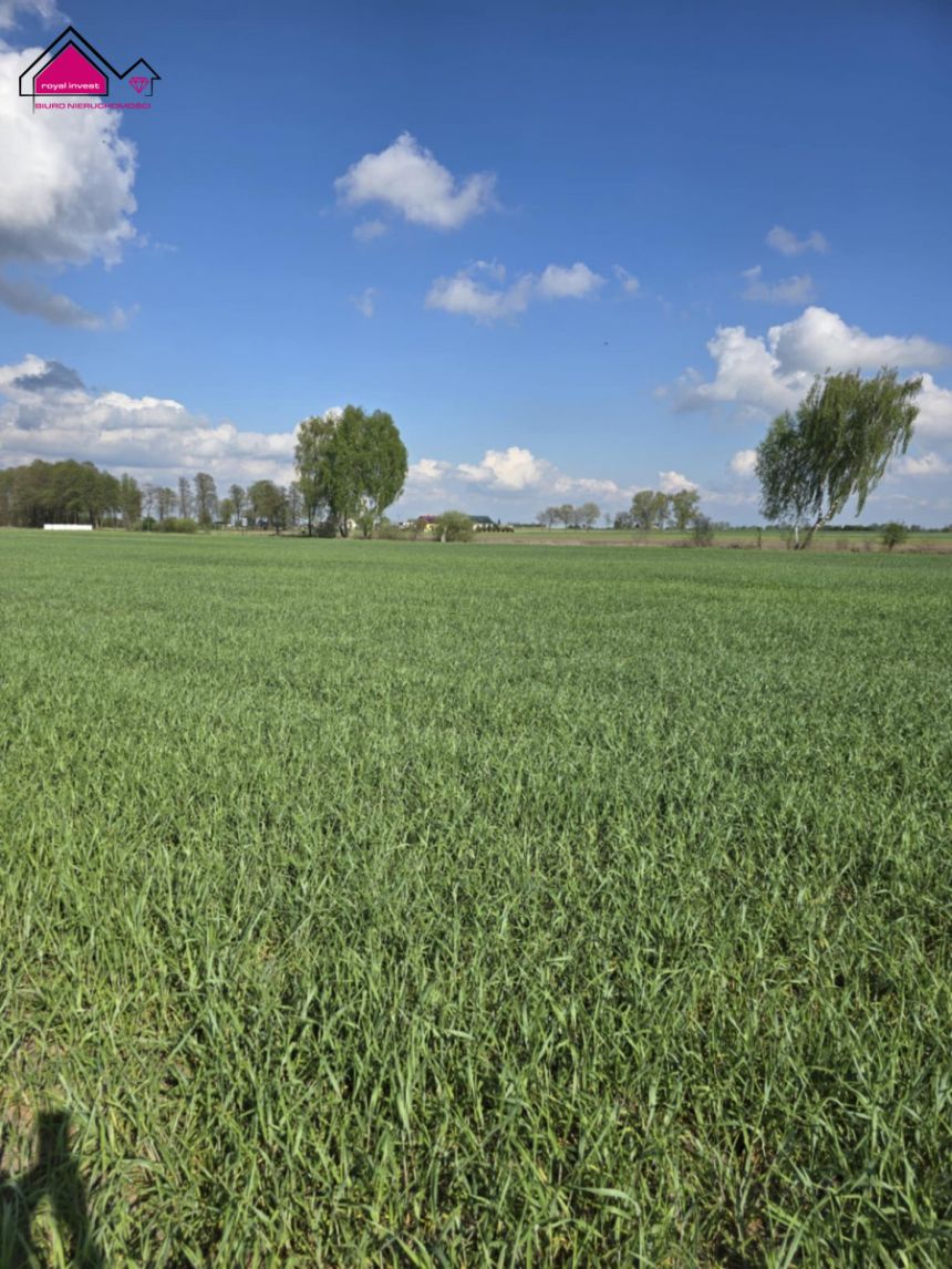Skrzynka, 83 000 zł, 9.98 ar, rekreacyjna miniaturka 3