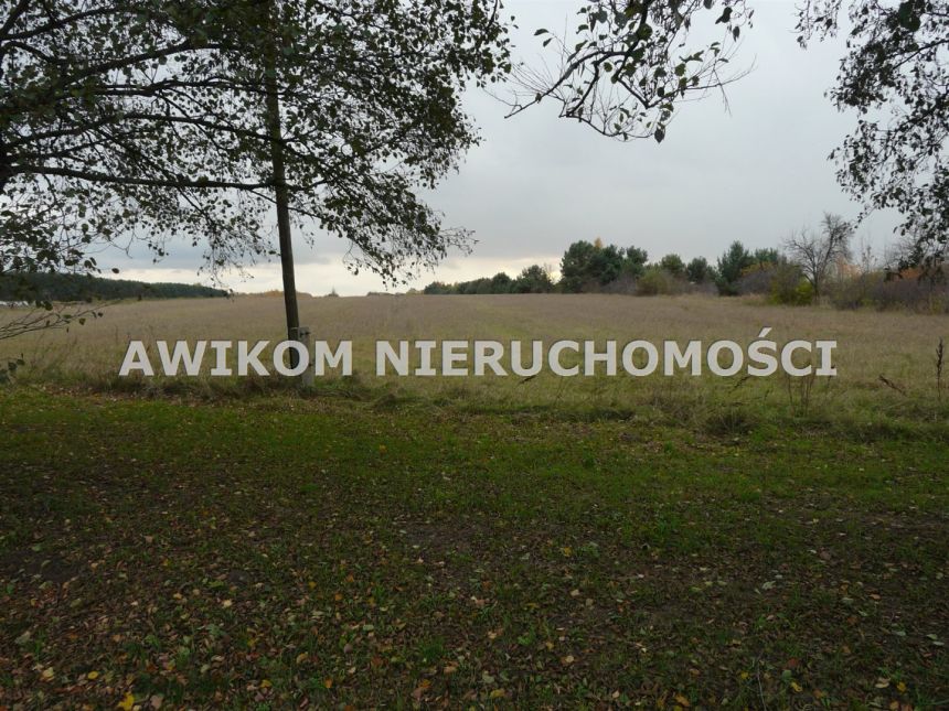 Stary Łajszczew, 478 850 zł, 4.79 ha, rolna miniaturka 11