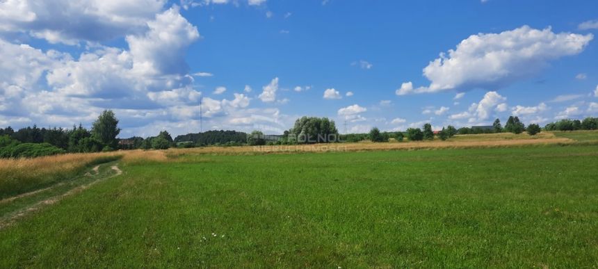 Dzaiłka rolna. Dobrzyniewo Kościelne. miniaturka 6