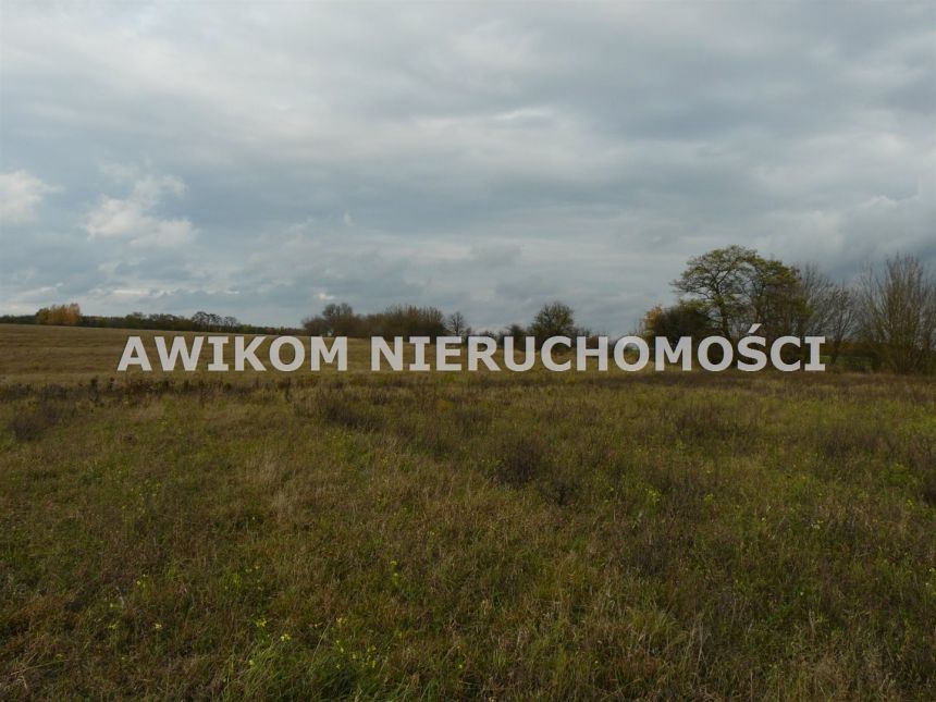 Wycześniak, 1 625 700 zł, 16.26 ha, rolna miniaturka 3