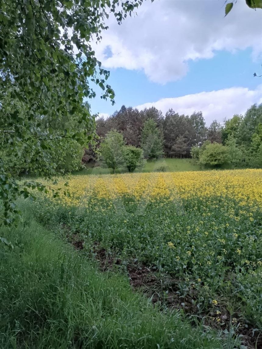 Działka budowlana - Graniczna Wieś miniaturka 2