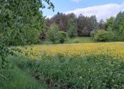 Działka budowlana - Graniczna Wieś miniaturka 2