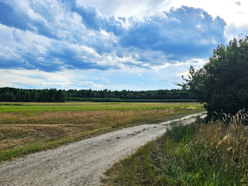 Działki rolne, Leszkowice, gm. Ostrówek miniaturka 5