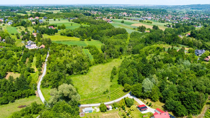 Duża działka- Szczepanowice- Pleśna- Małopolska - zdjęcie 1