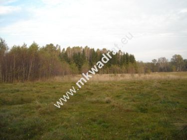 Budy-Grzybek, 3 444 000 zł, 4.05 ha, prostokątna