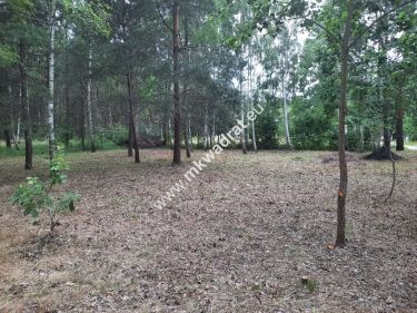 Słoneczna działka w leśnej okolicy