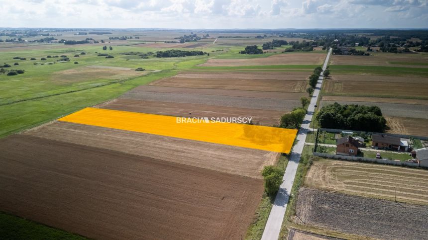 Działka budowlana 75 ar nieopodal Sędziszowa. miniaturka 7