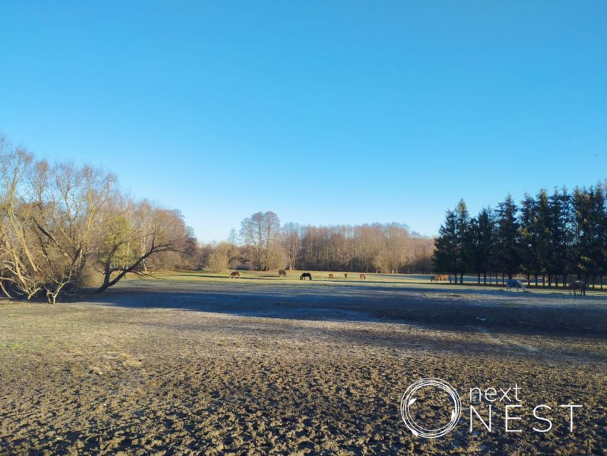 Jesówka, 1 950 000 zł, 210 m2, 4 pokoje miniaturka 20
