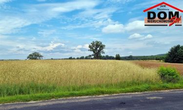 Działka budowlana - Stara Korytnica