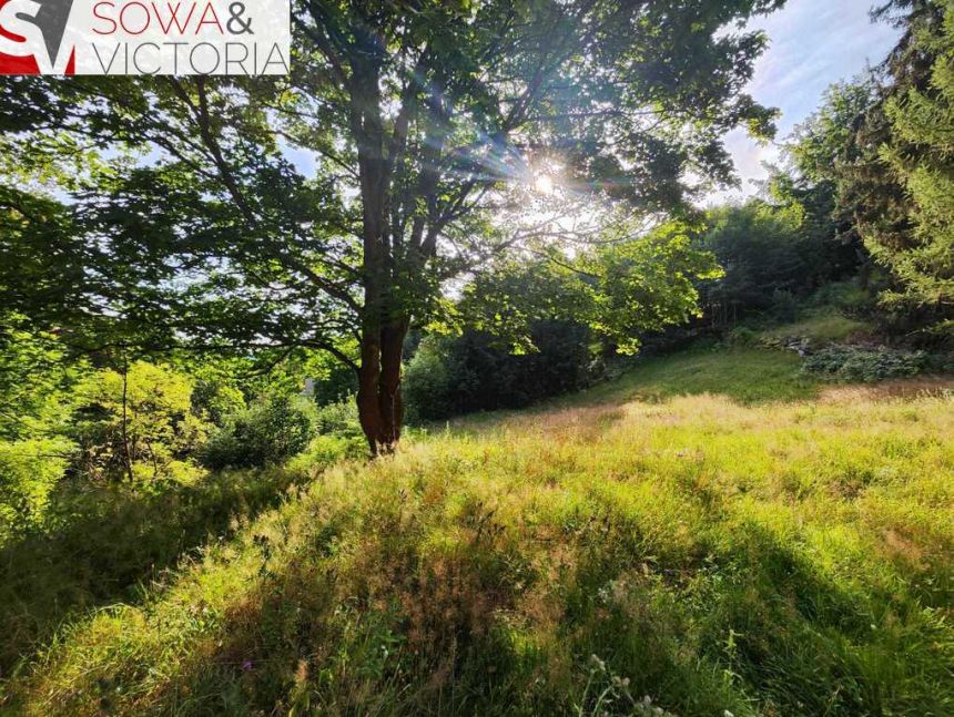 Ciekawa działka budowlana w górach w m. Jagniątków miniaturka 3