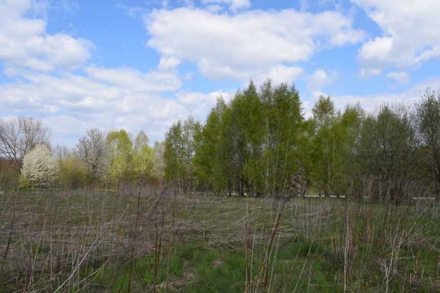 Działka rolno-budowlana 28a, Chmielnik miniaturka 8