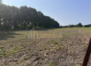 Działka z W.Zabudowy w Radzanku –Gm.Maszewo miniaturka 15