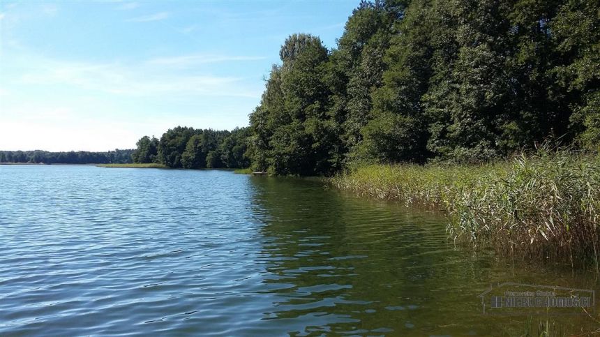 Działka w pobliżu lasu i jeziora miniaturka 5