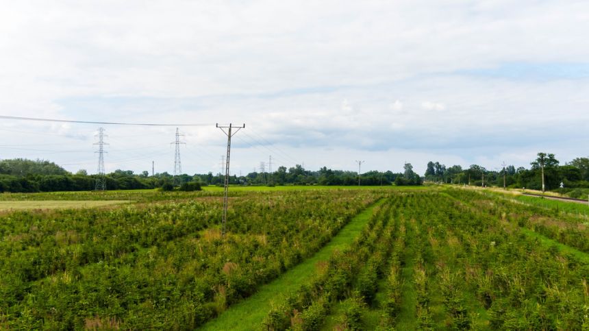 Działka inwestycyjna - wysoki  i szybki zysk miniaturka 6