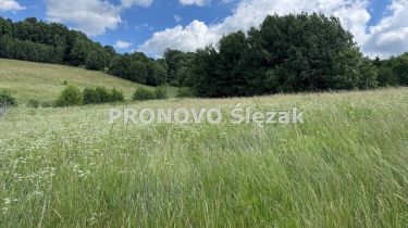 Sprzedam działkę inwestycyjną w Michałkowej