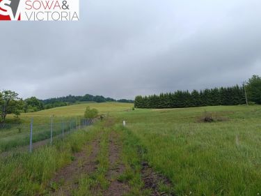 Kameralne miejsce z przyłączem  elektrycznym