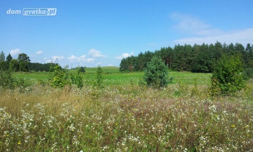 Chmielewo, 260 000 zł, 2.05 ha, przyłącze wodociągu miniaturka 6